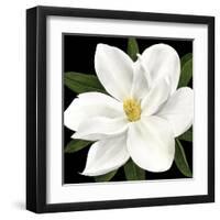 Midnight Magnolia II-Grace Popp-Framed Art Print