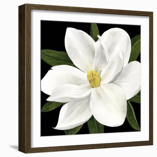 Midnight Magnolia II-Grace Popp-Framed Art Print