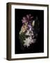Midnight Magnolia-Julie Greenwood-Framed Art Print