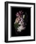 Midnight Magnolia-Julie Greenwood-Framed Art Print