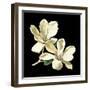 Midnight Magnolias II-Chabal Dussurgey-Framed Art Print