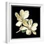 Midnight Magnolias II-Chabal Dussurgey-Framed Art Print