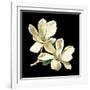 Midnight Magnolias II-Chabal Dussurgey-Framed Art Print