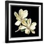 Midnight Magnolias II-Chabal Dussurgey-Framed Art Print