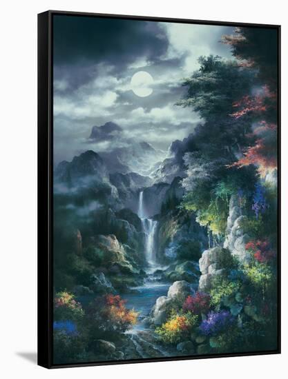 Midnight Mist Canyon-James Lee-Framed Stretched Canvas