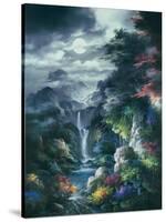 Midnight Mist Canyon-James Lee-Stretched Canvas