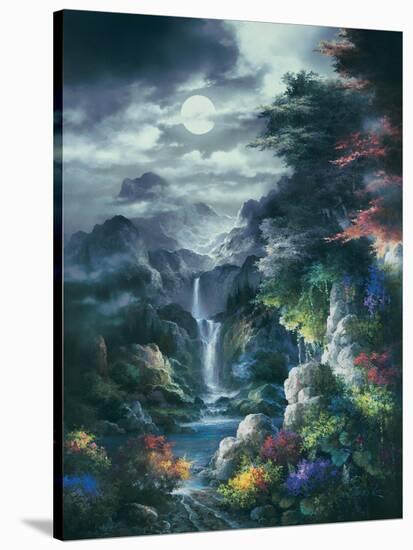 Midnight Mist Canyon-James Lee-Stretched Canvas