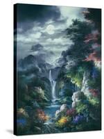 Midnight Mist Canyon-James Lee-Stretched Canvas