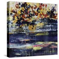 Midnight Moonlite-Jodi Maas-Stretched Canvas