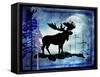 Midnight Moose-LightBoxJournal-Framed Stretched Canvas