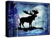 Midnight Moose-LightBoxJournal-Stretched Canvas