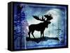 Midnight Moose-LightBoxJournal-Framed Stretched Canvas