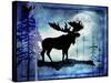 Midnight Moose-LightBoxJournal-Stretched Canvas