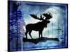 Midnight Moose-LightBoxJournal-Stretched Canvas