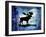 Midnight Moose-LightBoxJournal-Framed Giclee Print