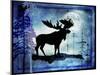 Midnight Moose-LightBoxJournal-Mounted Giclee Print