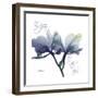 Midnight Orchid-Albert Koetsier-Framed Art Print