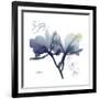 Midnight Orchid-Albert Koetsier-Framed Art Print