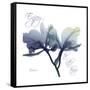 Midnight Orchid-Albert Koetsier-Framed Stretched Canvas