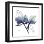 Midnight Orchid-Albert Koetsier-Framed Art Print