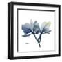 Midnight Orchid-Albert Koetsier-Framed Art Print