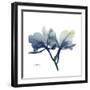 Midnight Orchid-Albert Koetsier-Framed Art Print