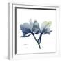 Midnight Orchid-Albert Koetsier-Framed Art Print