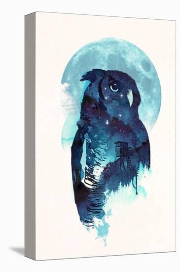 Midnight Owl-Robert Farkas-Stretched Canvas