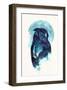 Midnight Owl-Robert Farkas-Framed Art Print