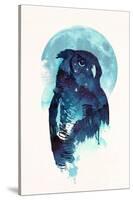 Midnight Owl-Robert Farkas-Stretched Canvas