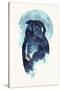 Midnight Owl-Robert Farkas-Stretched Canvas