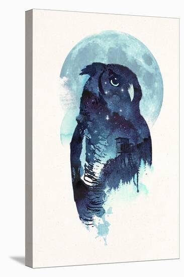 Midnight Owl-Robert Farkas-Stretched Canvas