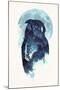 Midnight Owl-Robert Farkas-Mounted Giclee Print