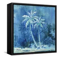 Midnight Palm I-Paul Brent-Framed Stretched Canvas