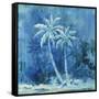 Midnight Palm I-Paul Brent-Framed Stretched Canvas