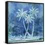 Midnight Palm II-Paul Brent-Framed Stretched Canvas