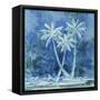 Midnight Palm II-Paul Brent-Framed Stretched Canvas