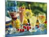 Midnight, Pinky, Asia and Exotic Punch on Garden Table-Michael Brauner-Mounted Photographic Print