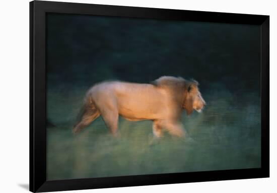 Midnight Prowl-Staffan Widstrand-Framed Giclee Print