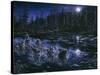Midnight Pursuit-Jeff Tift-Stretched Canvas