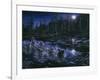 Midnight Pursuit-Jeff Tift-Framed Giclee Print