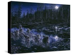 Midnight Pursuit-Jeff Tift-Stretched Canvas