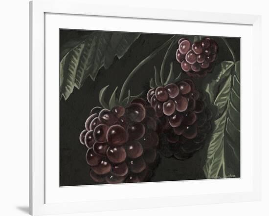 Midnight Raspberries-Megan Meagher-Framed Art Print