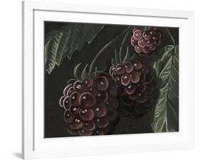 Midnight Raspberries-Megan Meagher-Framed Art Print