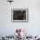 Midnight Raspberries-Megan Meagher-Framed Art Print displayed on a wall