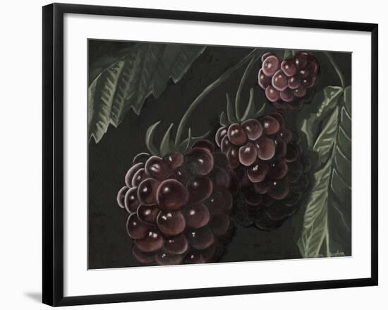 Midnight Raspberries-Megan Meagher-Framed Art Print