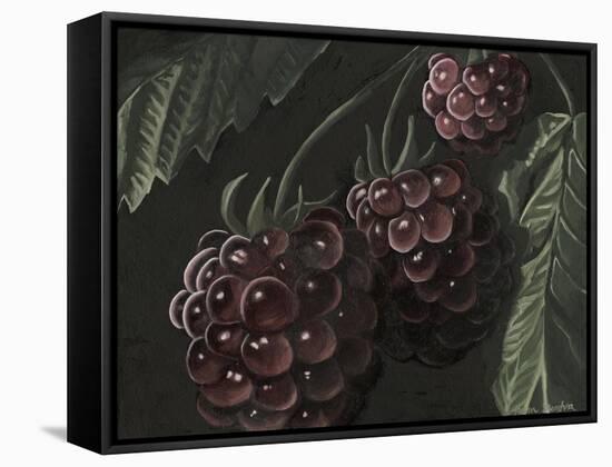 Midnight Raspberries-Megan Meagher-Framed Stretched Canvas