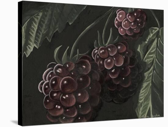 Midnight Raspberries-Megan Meagher-Stretched Canvas