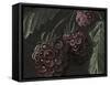 Midnight Raspberries-Megan Meagher-Framed Stretched Canvas