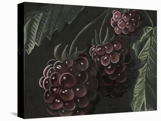 Midnight Raspberries-Megan Meagher-Stretched Canvas